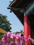 觀音廟

IMG_0148