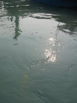 IMG_0171