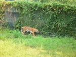 P1010205