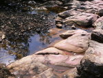 P1030578
