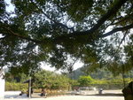 P1030608