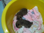 2006-05-21 IMG_1709