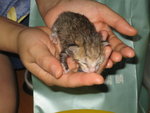 2006-05-21 IMG_1712