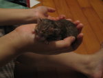 2006-05-23 IMG_1737