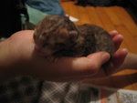 2006-05-23 IMG_1738