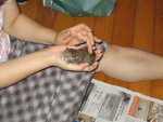 2006-05-23 IMG_1739