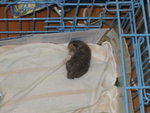 2006-05-23 IMG_1740