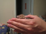 2006-05-23 IMG_1741
