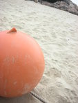 DSCN1197
