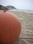 DSCN1198
