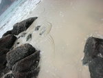 DSCN1202