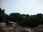 DSCN1203