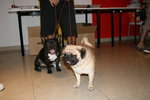 DSLRJ000082