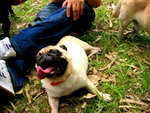 20070415 024