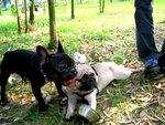 20070415 105
