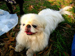 20070415 114