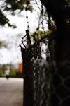 IMG_7235