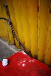 IMG_7356