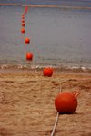 IMG_7406