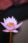 IMG_3630