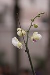 IMG_3681