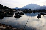IMG_1458