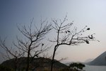 IMG_0337