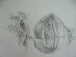 IMG_5314