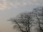 IMG_5191