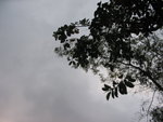 IMG_5685