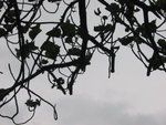IMG_0351