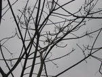 IMG_0359