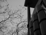IMG_5866