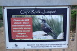 Cape_039 Rooisels, False Bay