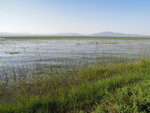 Eth_140 Lake Awassa in aftrenoon