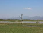 Eth_649 Lake Langano