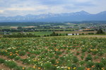 Furano_044