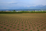 Furano_070