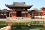 Uji_11