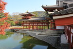 Uji_17