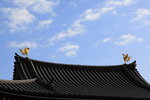 Uji_19