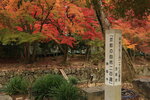 Uji_28
