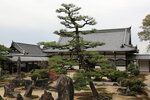 Uji_30