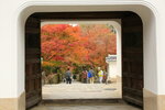 Uji_35