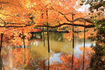 Nara_09