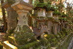 Nara_11