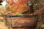 Nara_16