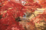 Nara_18