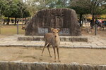 Nara_21