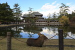 Nara_23